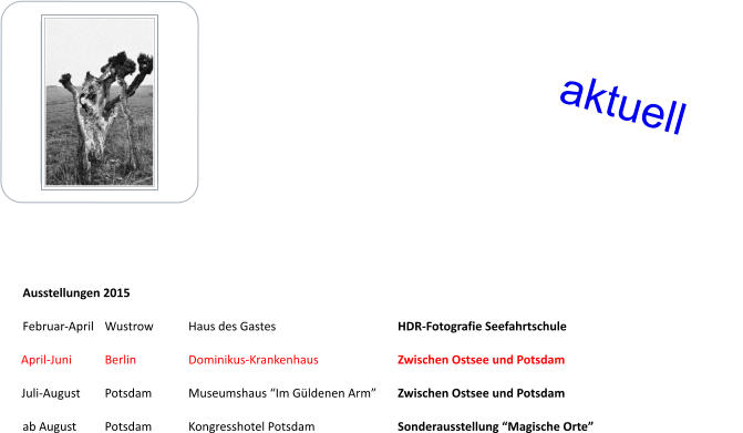 Ausstellungen 2015												 Februar-April	Wustrow	Haus des Gastes			HDR-Fotografie Seefahrtschule April-Juni	Berlin		Dominikus-Krankenhaus		Zwischen Ostsee und Potsdam Juli-August	Potsdam	Museumshaus “Im Güldenen Arm”	Zwischen Ostsee und Potsdam ab August	Potsdam	Kongresshotel Potsdam		Sonderausstellung “Magische Orte”	 aktuell